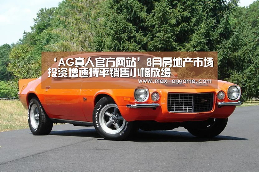 ‘AG真人官方网站’8月房地产市场投资增速持平销售小幅放缓(图3) AG真人官方网站