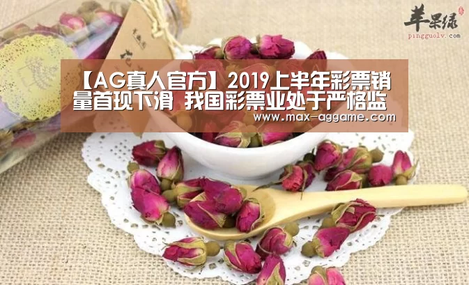 AG真人官方